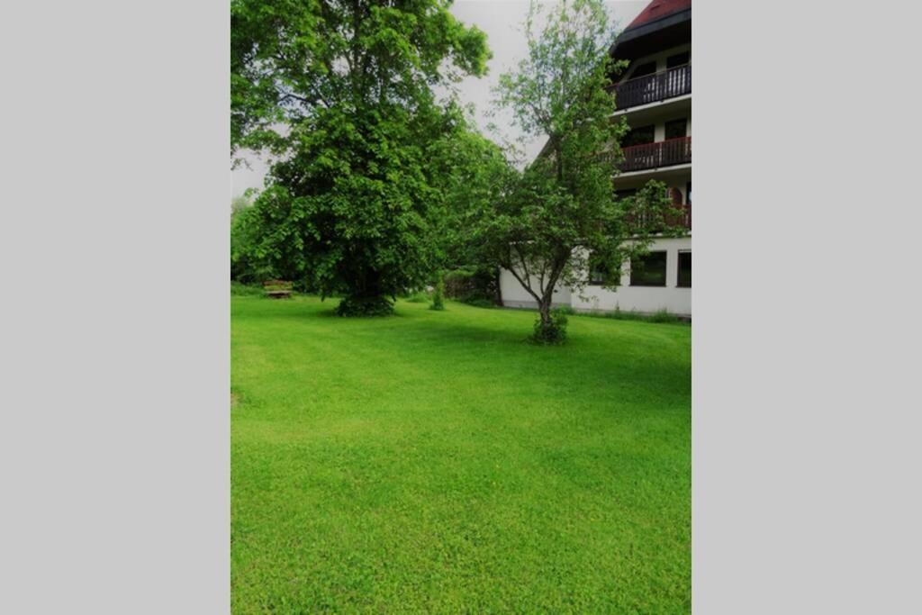 Modernes Apartment Mit Traumhaftem Blick Ins Gruene Bräunlingen Dış mekan fotoğraf